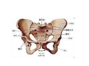 成都京研强直性脊柱炎研究院
