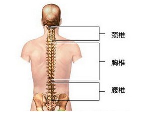 成都京研强直性脊柱炎研究院